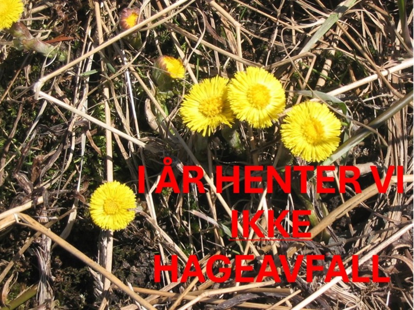 Våraksjonen 2026 - VIKTIG MELDING